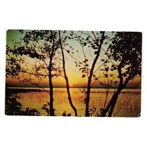 Vintage 1952 Postcard Greetings Shingleton Michigan Silhouettes Sunset Vacation